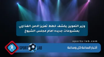 وزير التموين يكشف خطط تعزيز الأمن الغذائي بمشروعات جديدة أمام مجلس الشيوخ